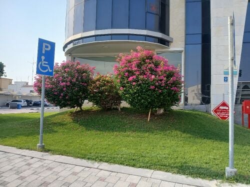 زراعات مختلفه