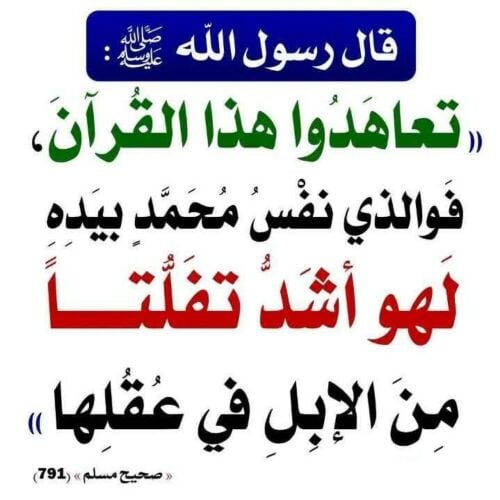 معلم تأسيس وتحفيظ القرآن الكريم