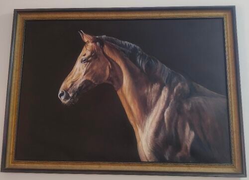 صورة خيل رسم يدوي