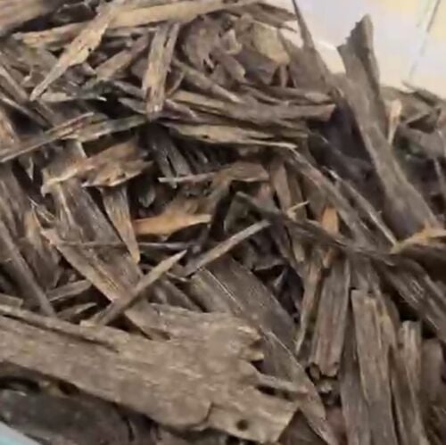 Oud for sale wholesale