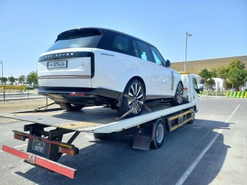 سطحه بركدون