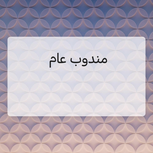 مندوب  تخليص معاملات سوداني