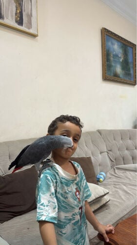 من النوادر