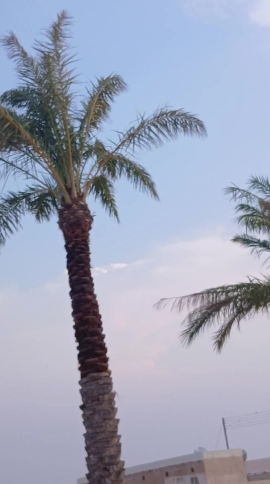 تكريب تلقيح تنظيف تسميد