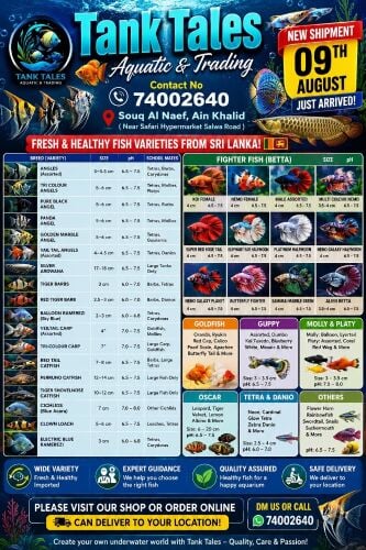 fresh fish available