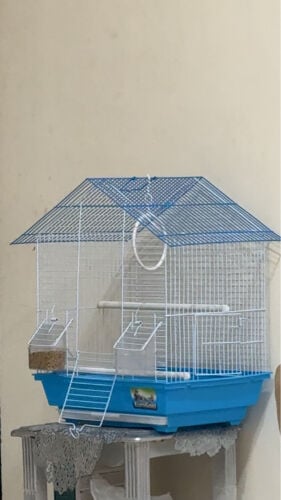 birdcage