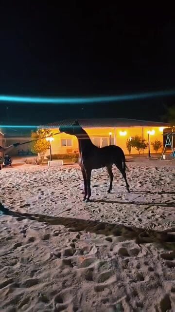 مدرب ال ستاند قطر 