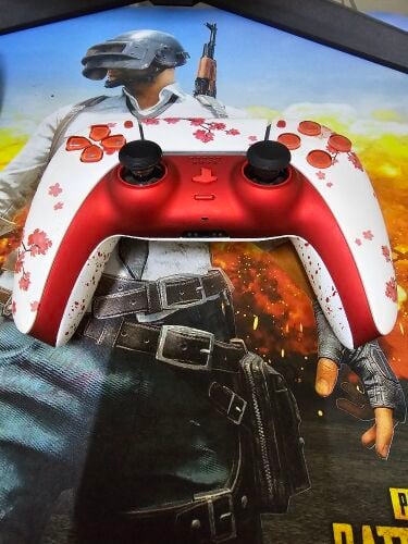 Modded PS5 Controller