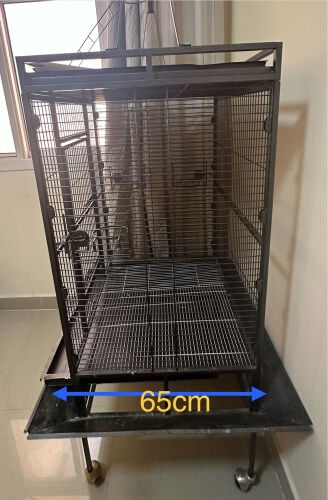 Big Bird Cage 