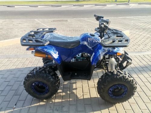 Petrol Budbuda 125Cc