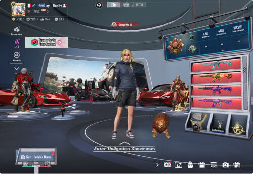 VIP pubg account