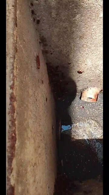 مكافحه الحشرات