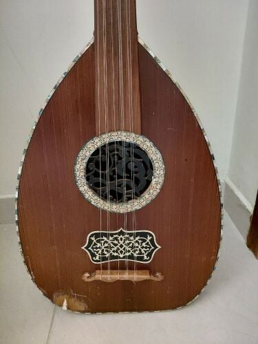 عود مصري