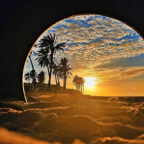 مطلوب مجلس