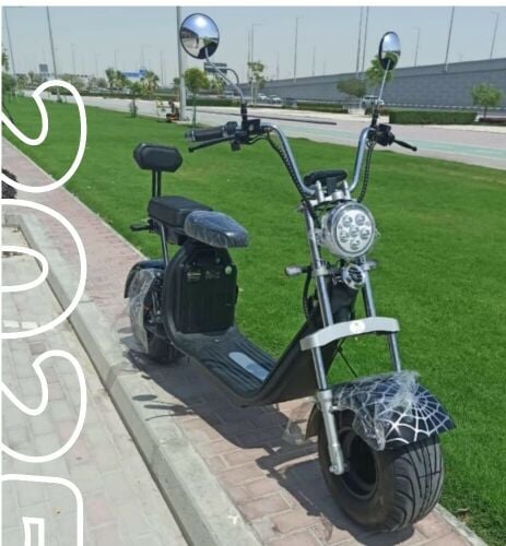 دراجة كبير ويل