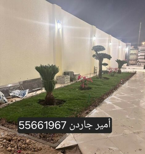 55661967