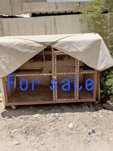 bird cage