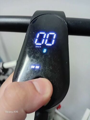 scoter
