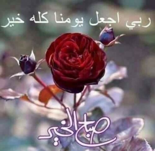 يوسف