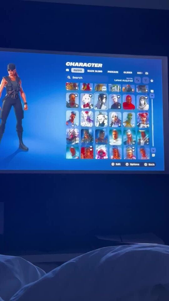 fortnight 