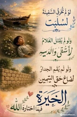 مدرس مصرى متخصص