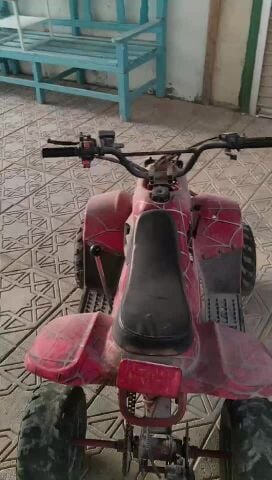 دباب