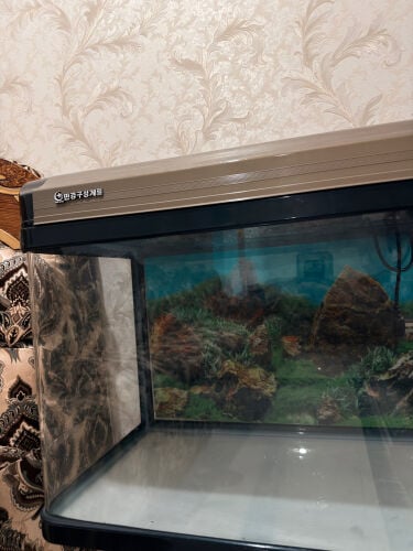 120-Liter Aquarium for Sale