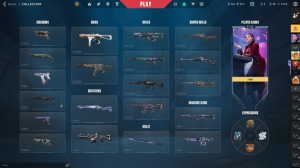 Valorant account (2 limited skin)