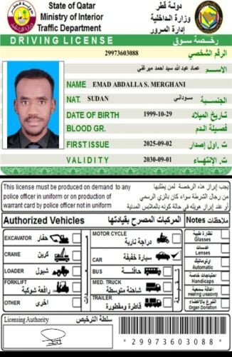 عماد عبدالله سيد أحمد