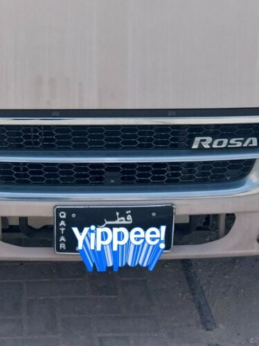 ميتسوبيشي روزا 2015