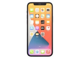iphone 12 pro 256