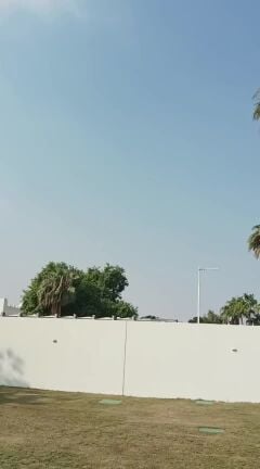 تنظيف جميع أطوال النخيل والمثمر