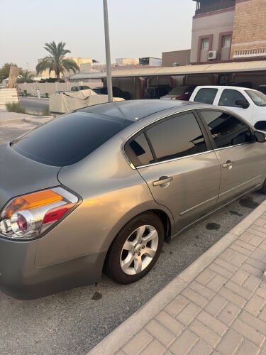 التيما ٢٠٠٩