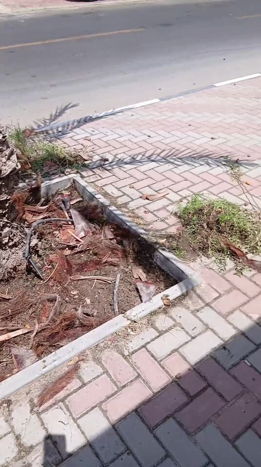 إنتظر لحظه واحده