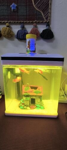 Aquarium