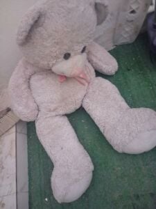 Big teddy bear