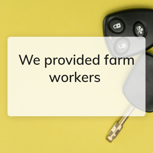 We provided farm workers in Arabic