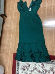 coast dress 