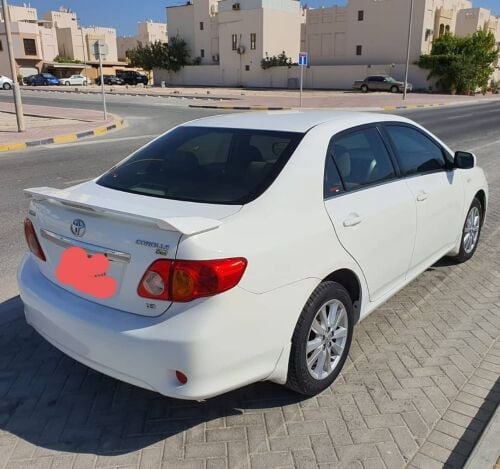 معتز
