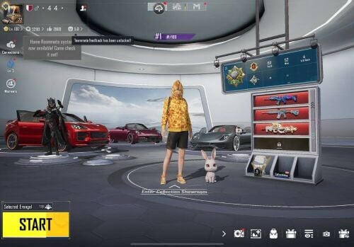 PUBG ACC BAPE SET