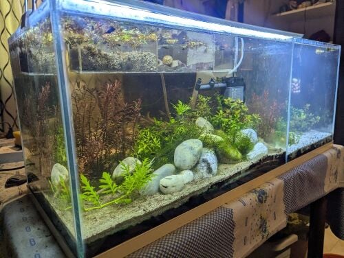 aquarium