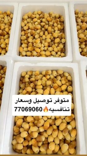 رطب