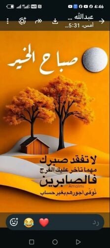 خبره بيع وشراء السيارات