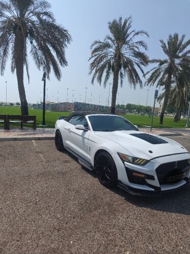 Ford Mustang EcoBoost Convertible