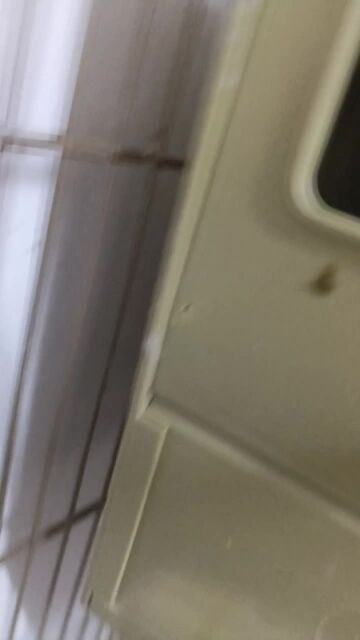 للبيع زوج بادجي رقم 55521086