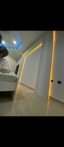 Gypsum board and painting