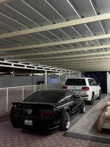 mustang 