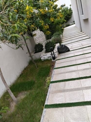 الممرات