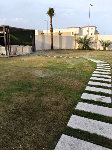شبكات الرياي