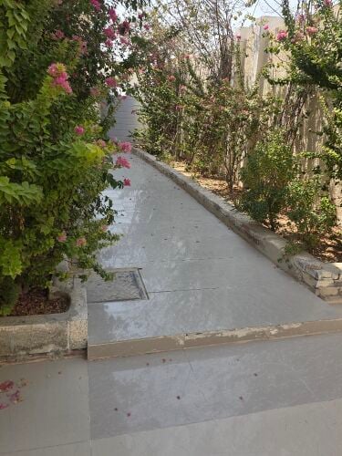 ابوسدرة المره الغربيه اشارة المنا